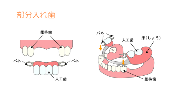 ��ʬ���������